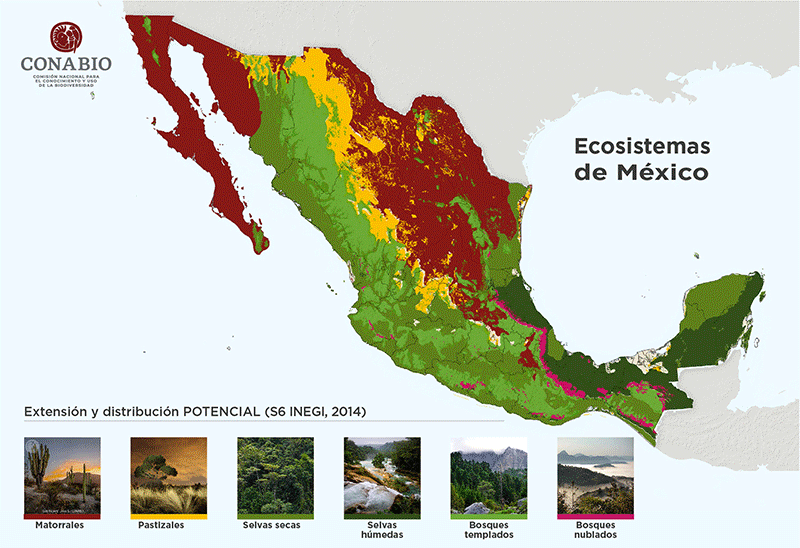 gif ecosistemas de mexico conabio