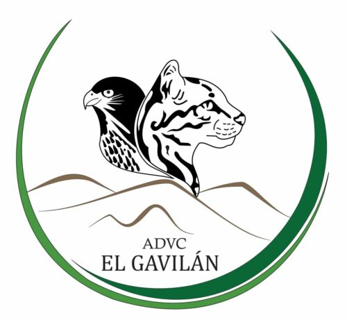 logo el gavilan advc