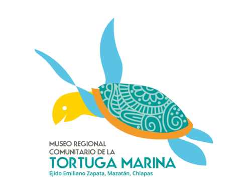 logótipo do museu regional da tartaruga marinha