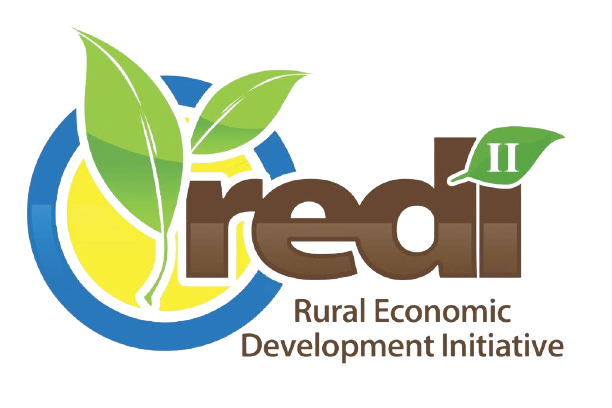 Jamaica Rural Economic Development Initiative REDIlogo